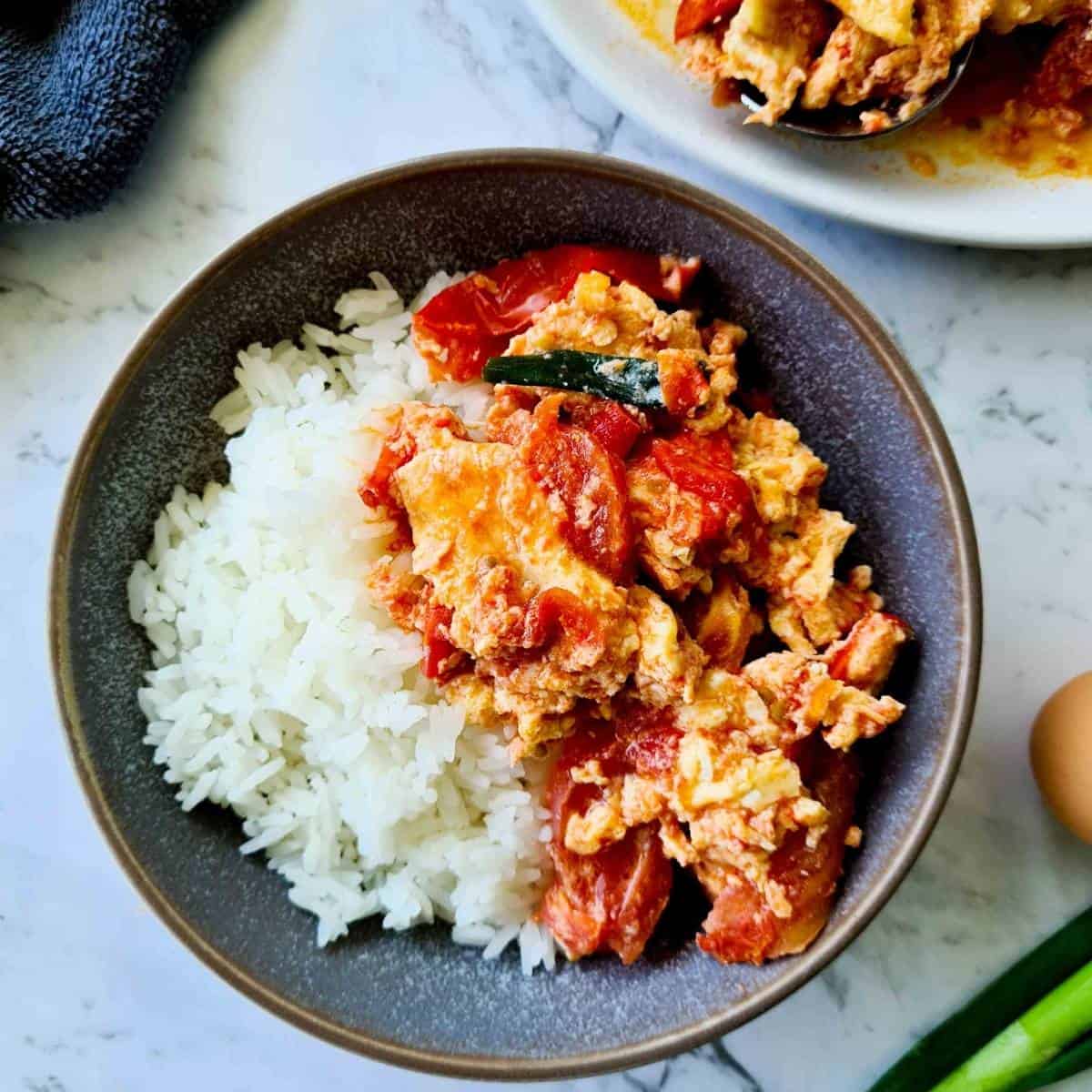 tomato & egg stew with rice