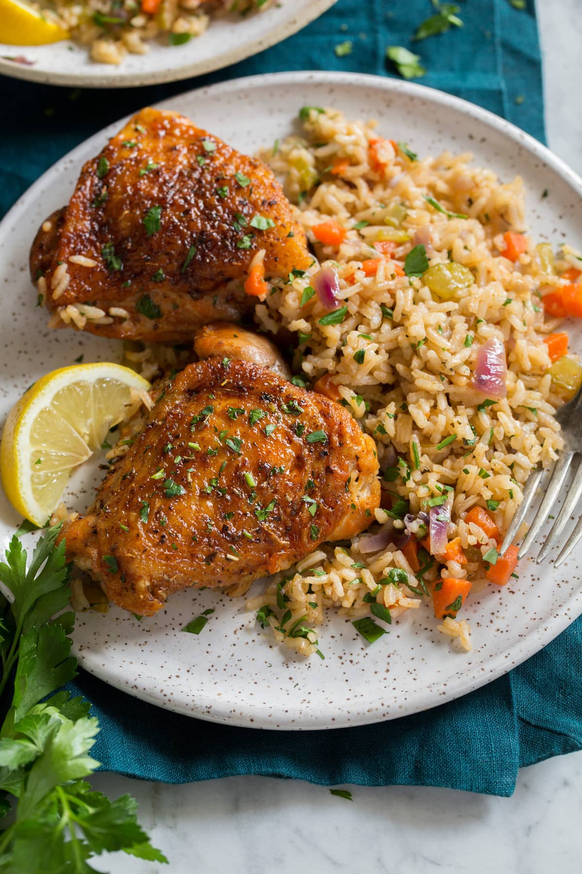 seasoned chicken thigh with rice