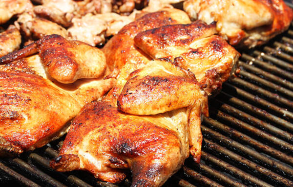 grilled and fried chicken